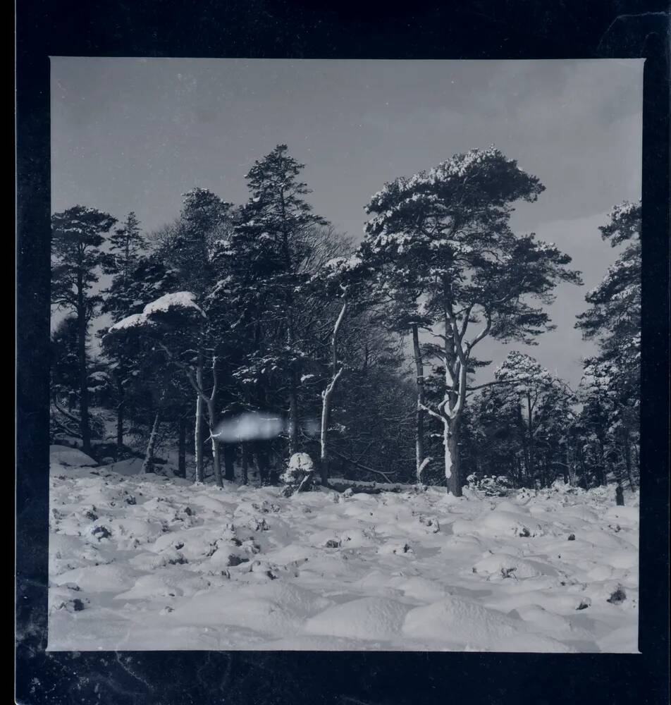 An image from the Dartmoor Trust Archive