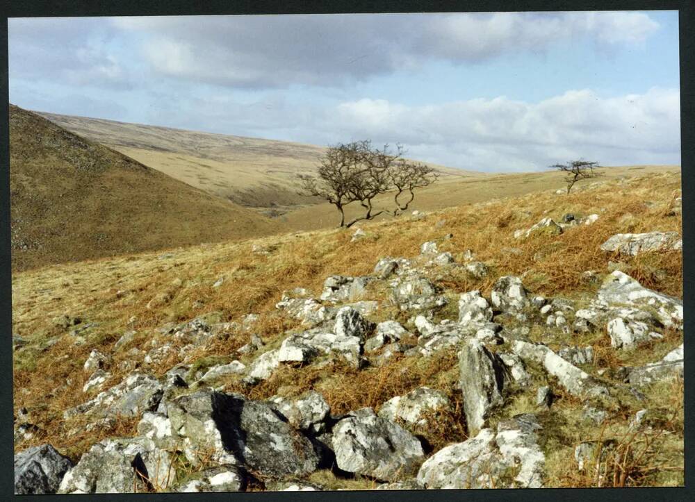 An image from the Dartmoor Trust Archive