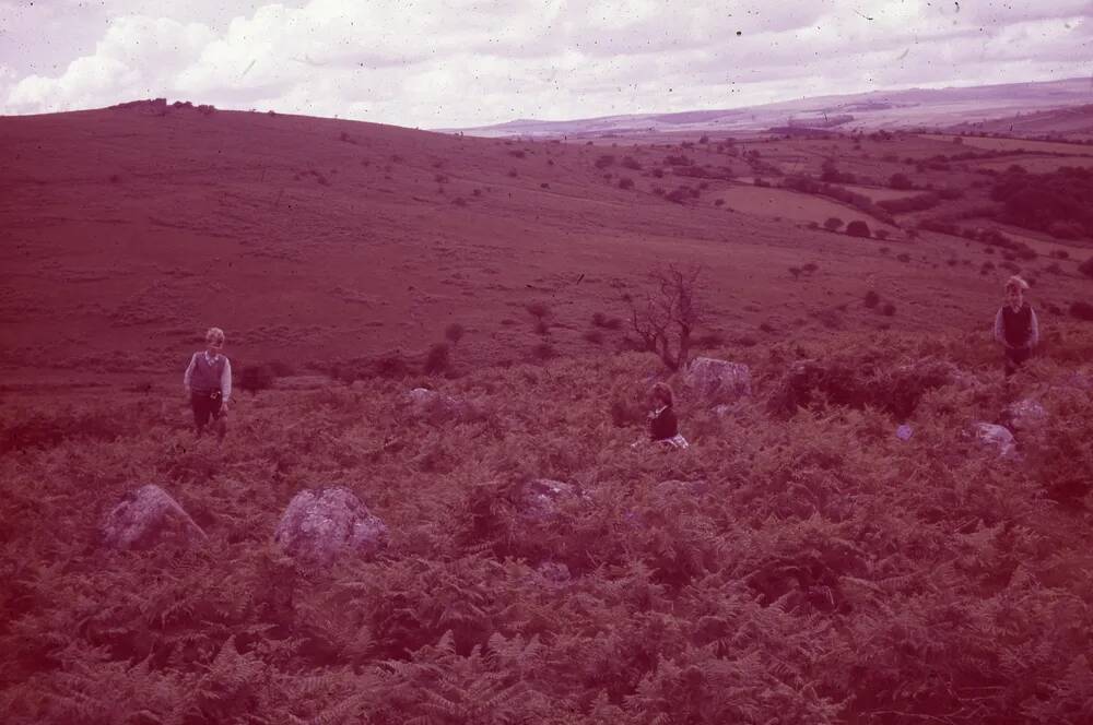 An image from the Dartmoor Trust Archive