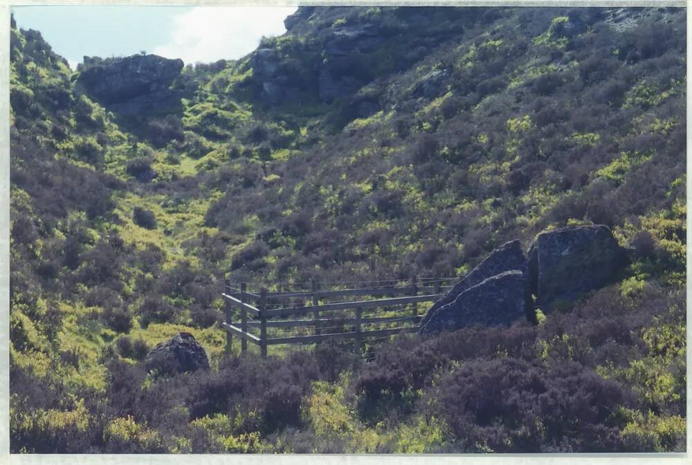 An image from the Dartmoor Trust Archive