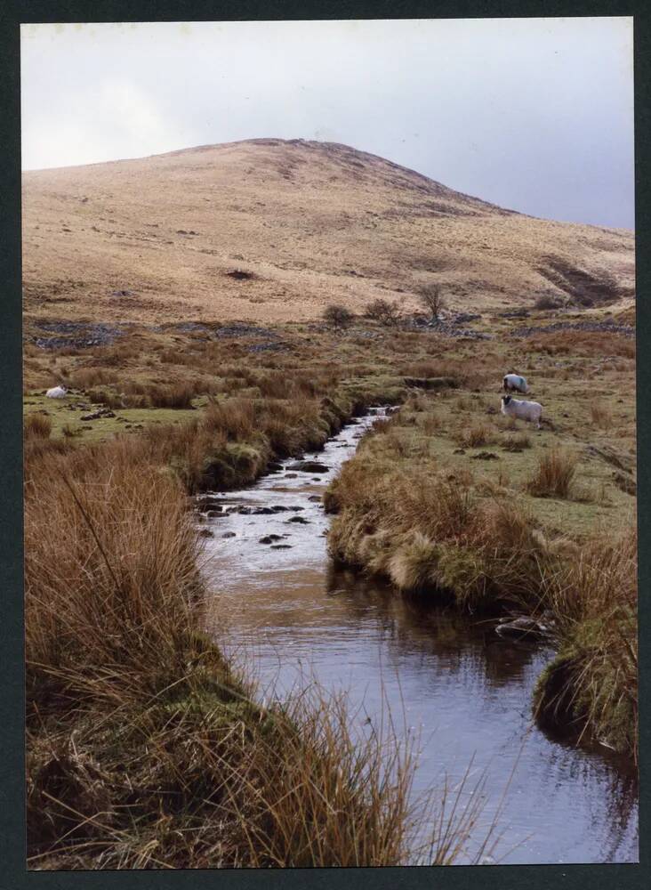 An image from the Dartmoor Trust Archive