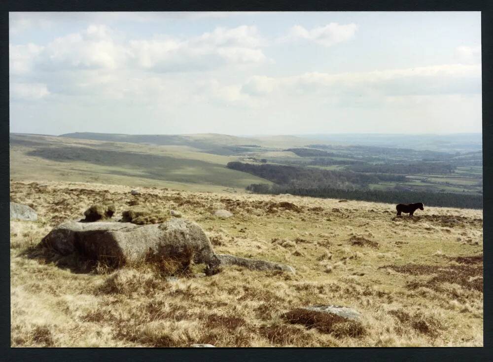 An image from the Dartmoor Trust Archive