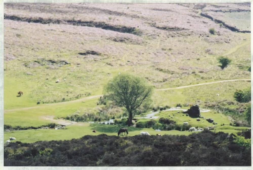 An image from the Dartmoor Trust Archive