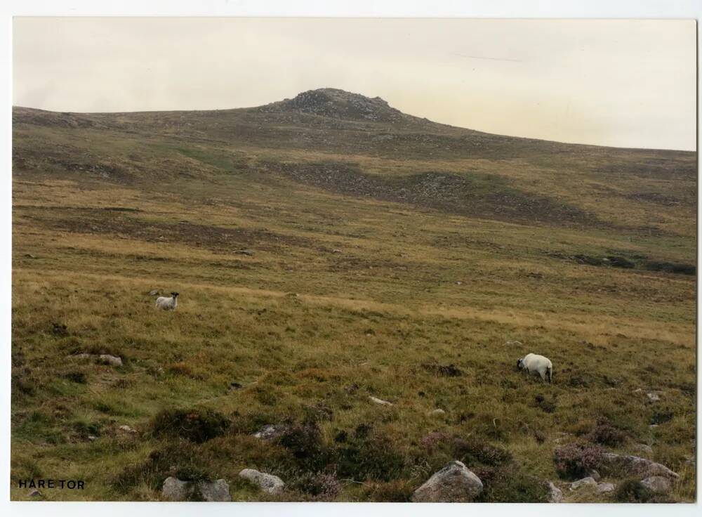 An image from the Dartmoor Trust Archive