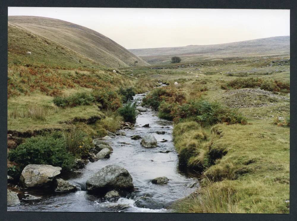 An image from the Dartmoor Trust Archive