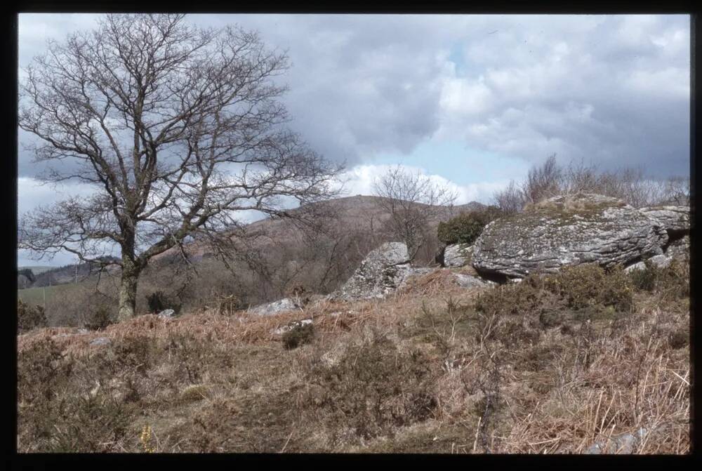 Rugglestone Rock