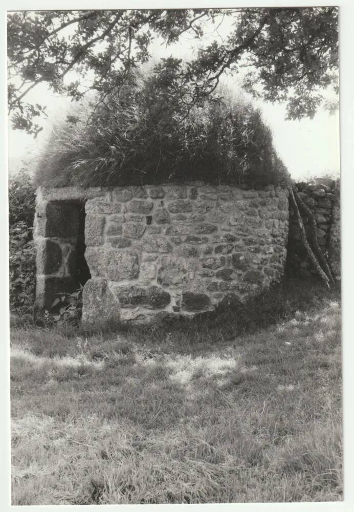 An image from the Dartmoor Trust Archive