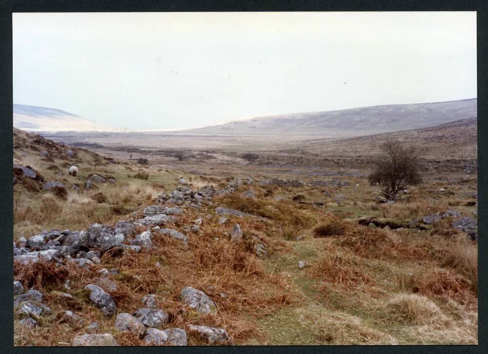 An image from the Dartmoor Trust Archive