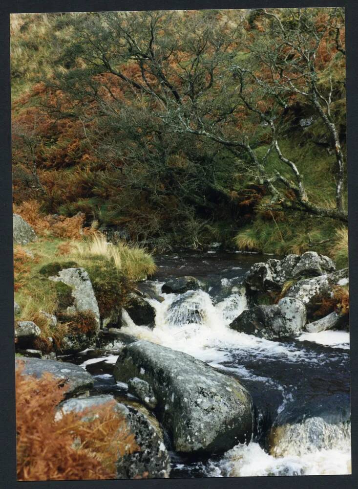 An image from the Dartmoor Trust Archive