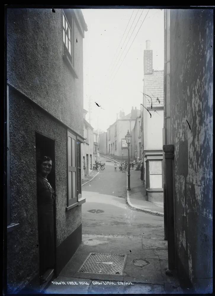 Town Tree Hill, Dawlish