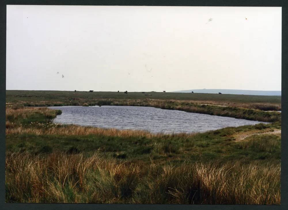 An image from the Dartmoor Trust Archive