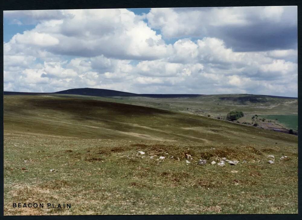 An image from the Dartmoor Trust Archive