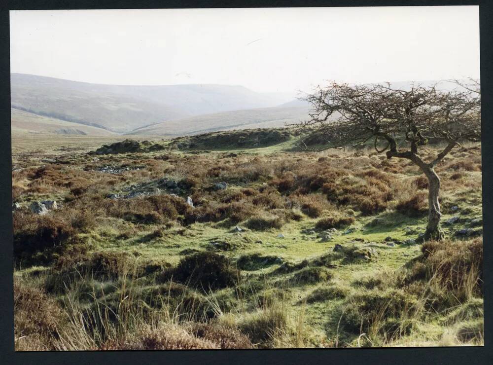 An image from the Dartmoor Trust Archive