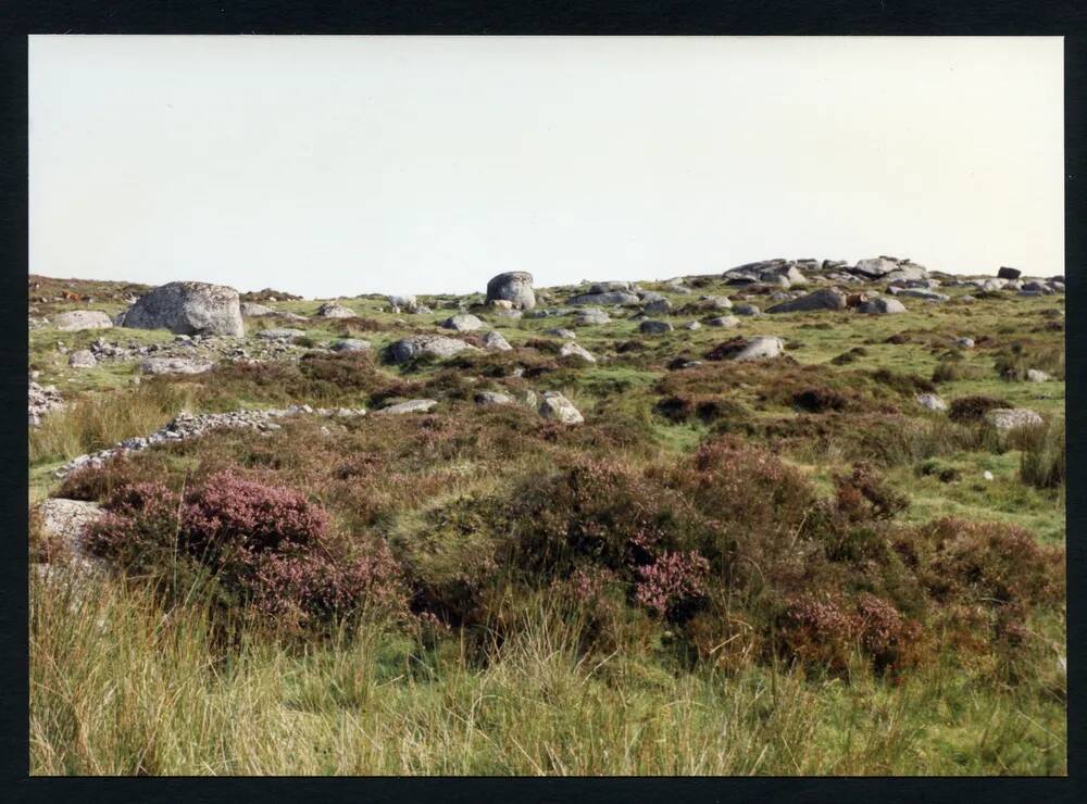 An image from the Dartmoor Trust Archive