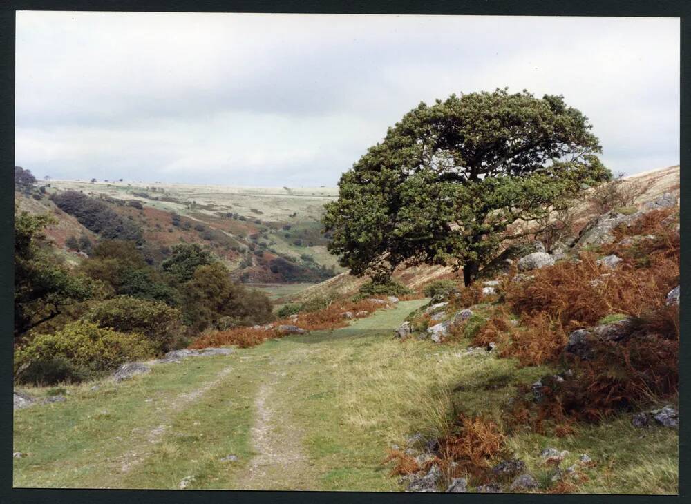 An image from the Dartmoor Trust Archive