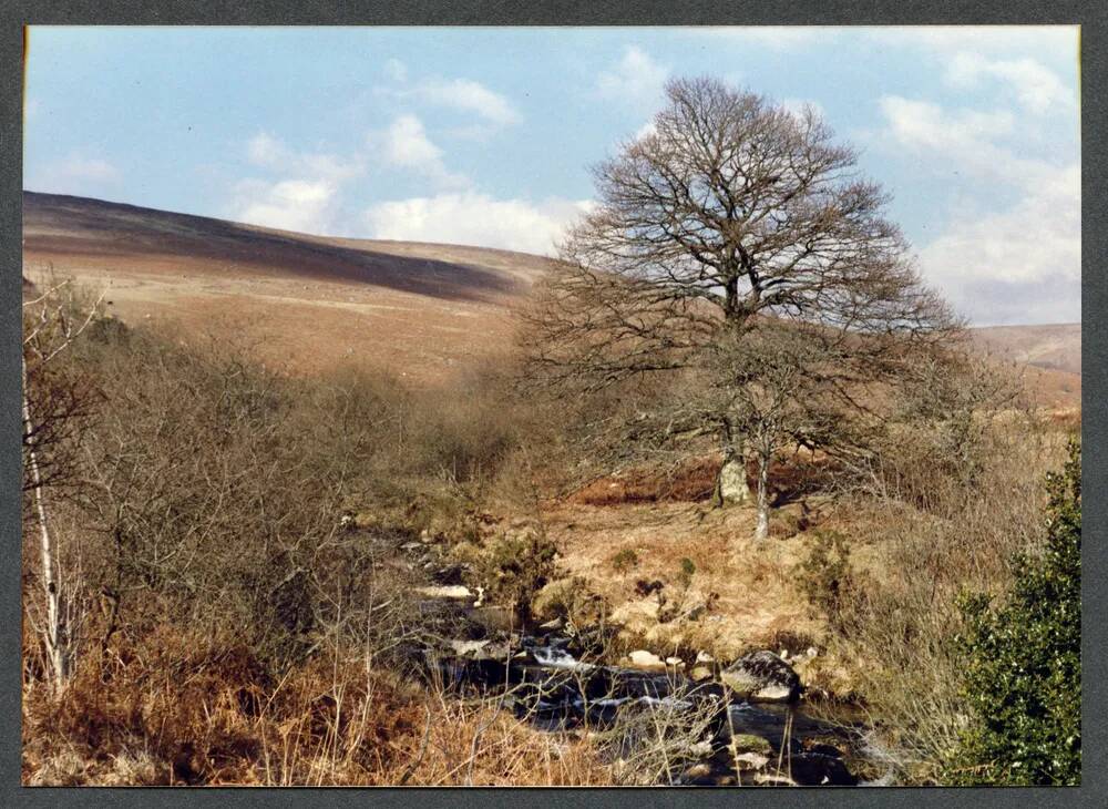 An image from the Dartmoor Trust Archive