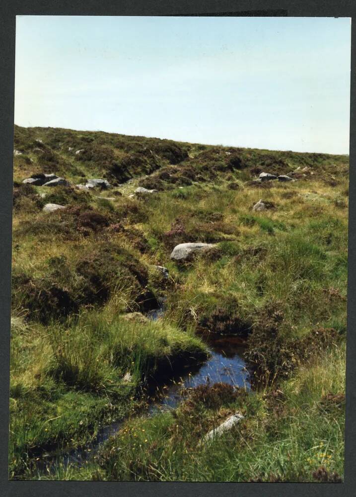 An image from the Dartmoor Trust Archive