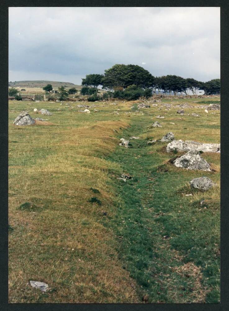 An image from the Dartmoor Trust Archive