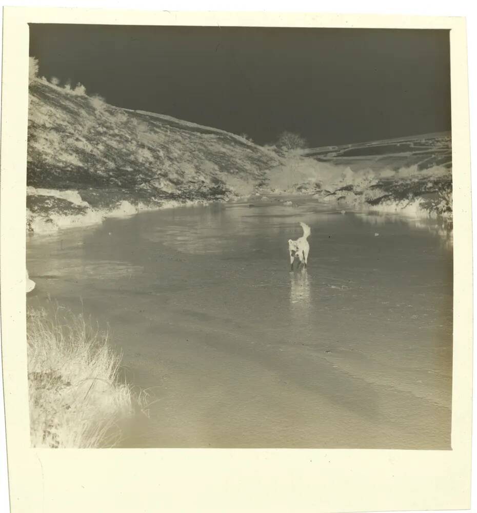 An image from the Dartmoor Trust Archive