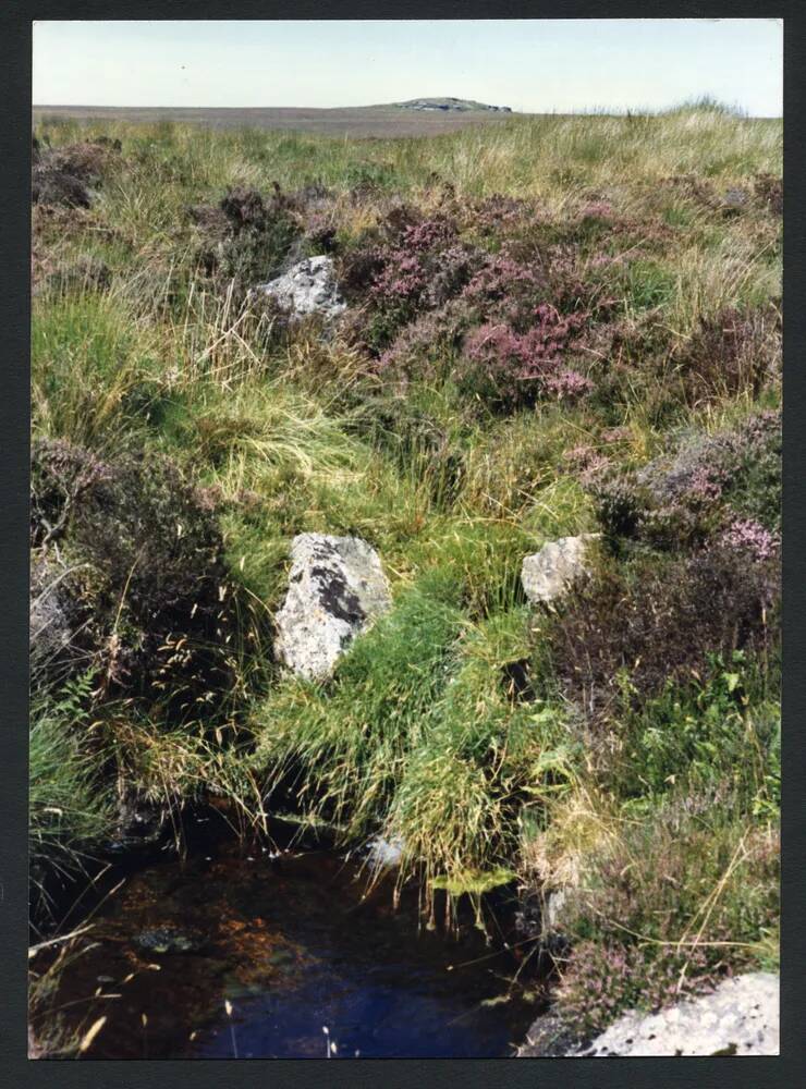 An image from the Dartmoor Trust Archive