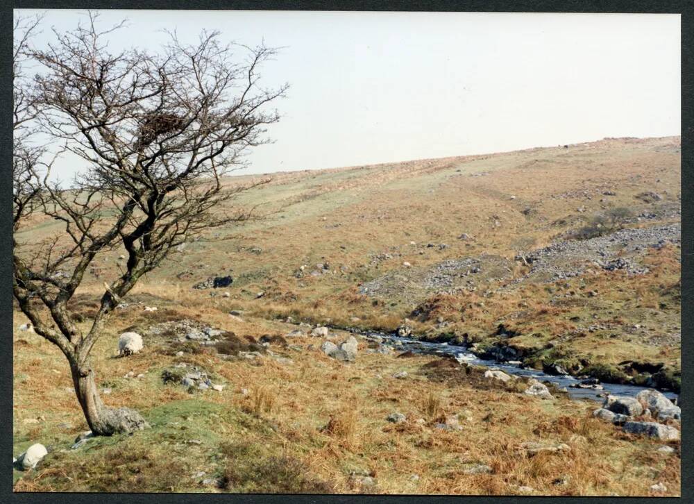 An image from the Dartmoor Trust Archive