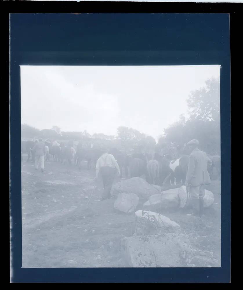 An image from the Dartmoor Trust Archive