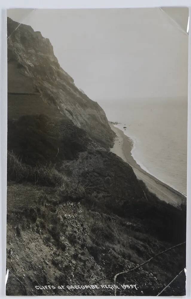 Cliffs at Salcombe Regis