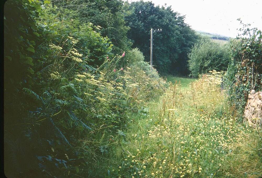 An image from the Dartmoor Trust Archive