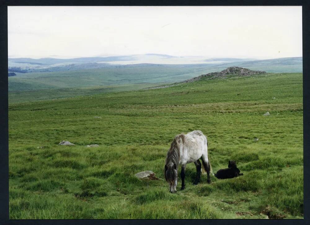 An image from the Dartmoor Trust Archive