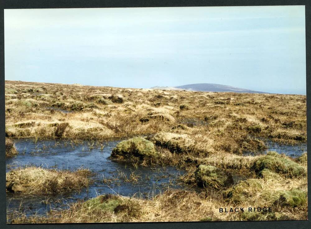 An image from the Dartmoor Trust Archive