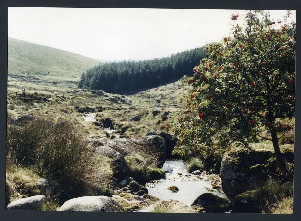 An image from the Dartmoor Trust Archive