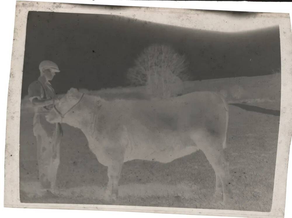 An image from the Dartmoor Trust Archive