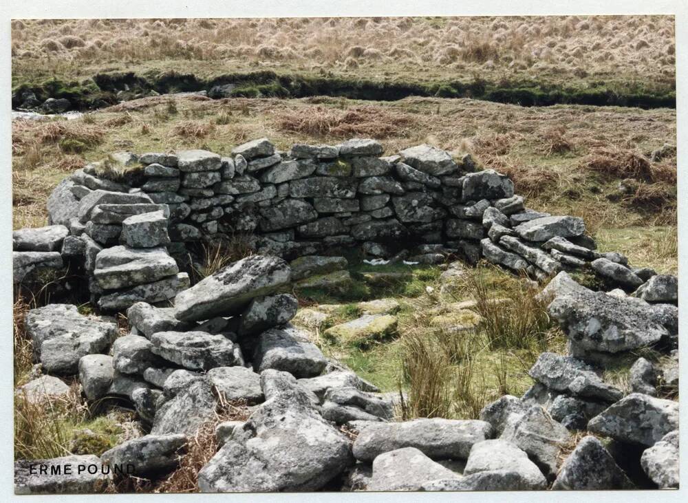 An image from the Dartmoor Trust Archive