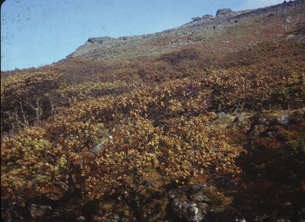 An image from the Dartmoor Trust Archive