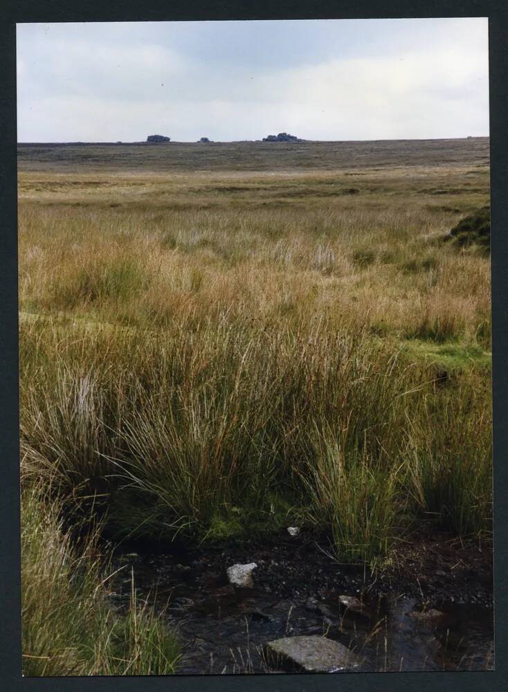 An image from the Dartmoor Trust Archive