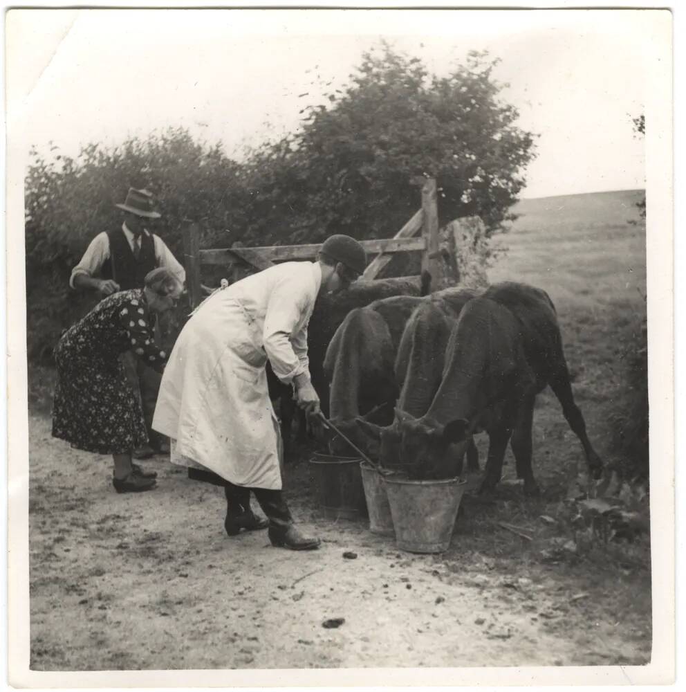 An image from the Dartmoor Trust Archive