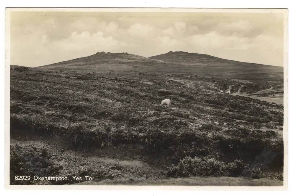 An image from the Dartmoor Trust Archive