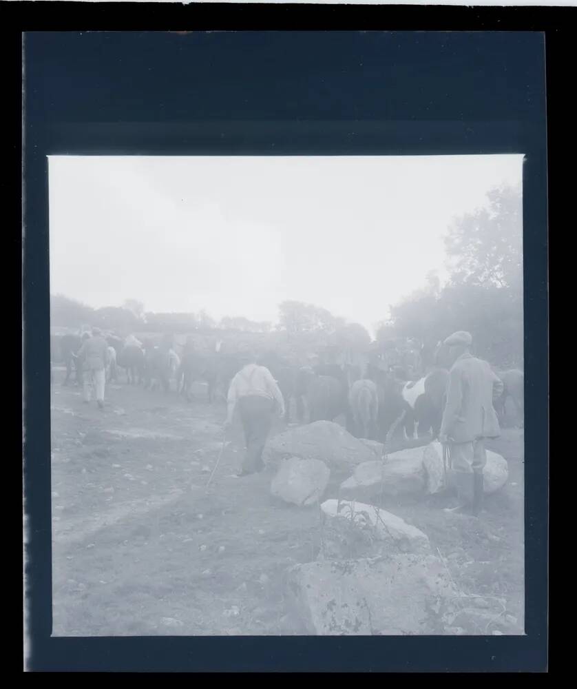 An image from the Dartmoor Trust Archive