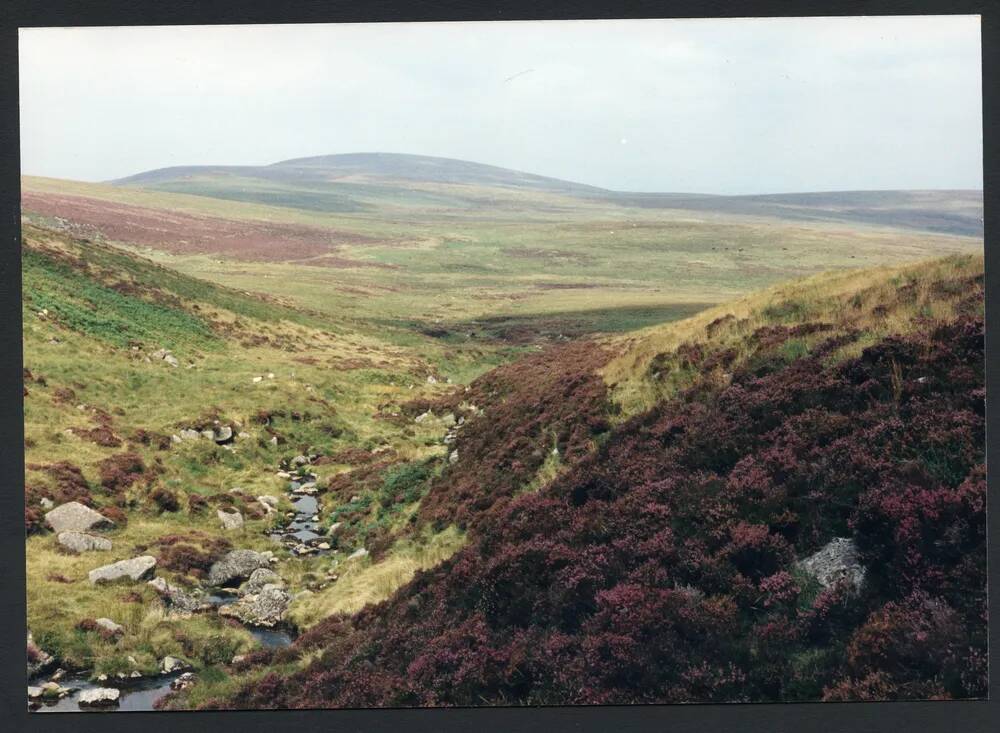 An image from the Dartmoor Trust Archive