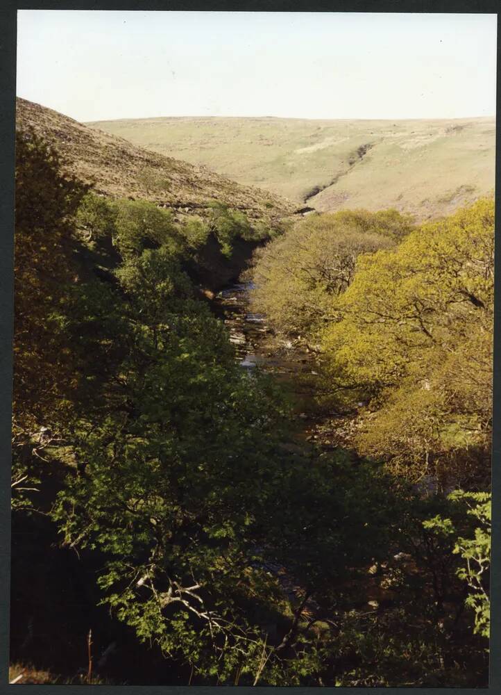 An image from the Dartmoor Trust Archive