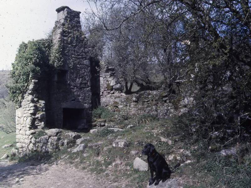 An image from the Dartmoor Trust Archive