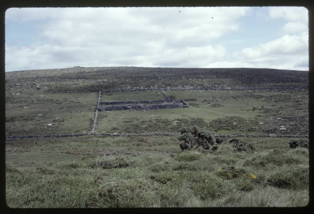 The Sheepfold