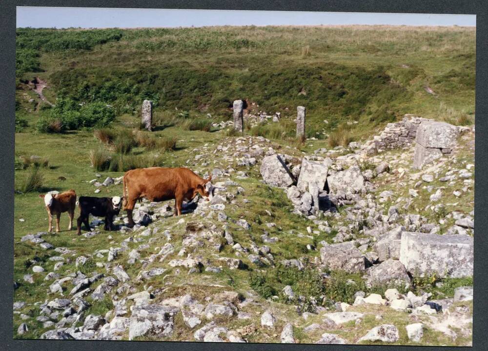 An image from the Dartmoor Trust Archive