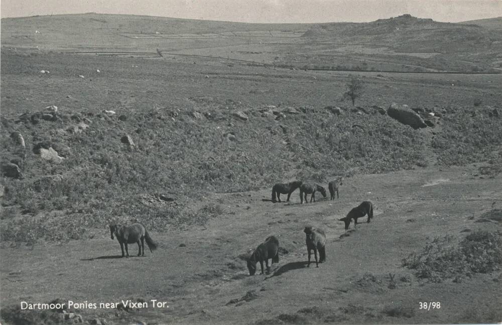 An image from the Dartmoor Trust Archive