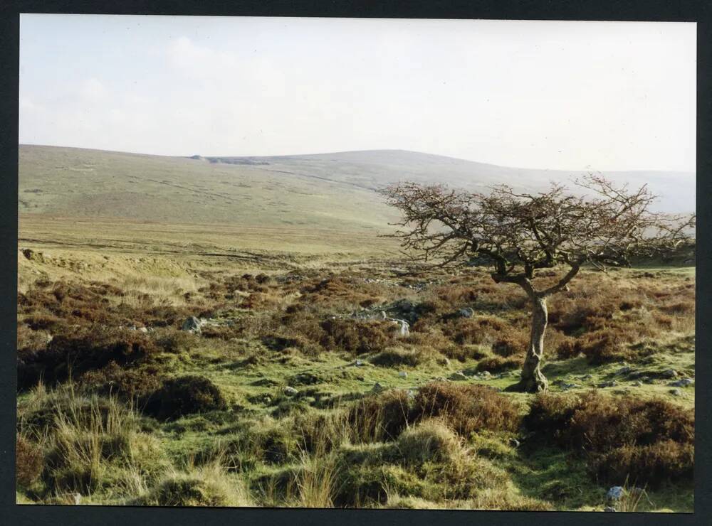 An image from the Dartmoor Trust Archive