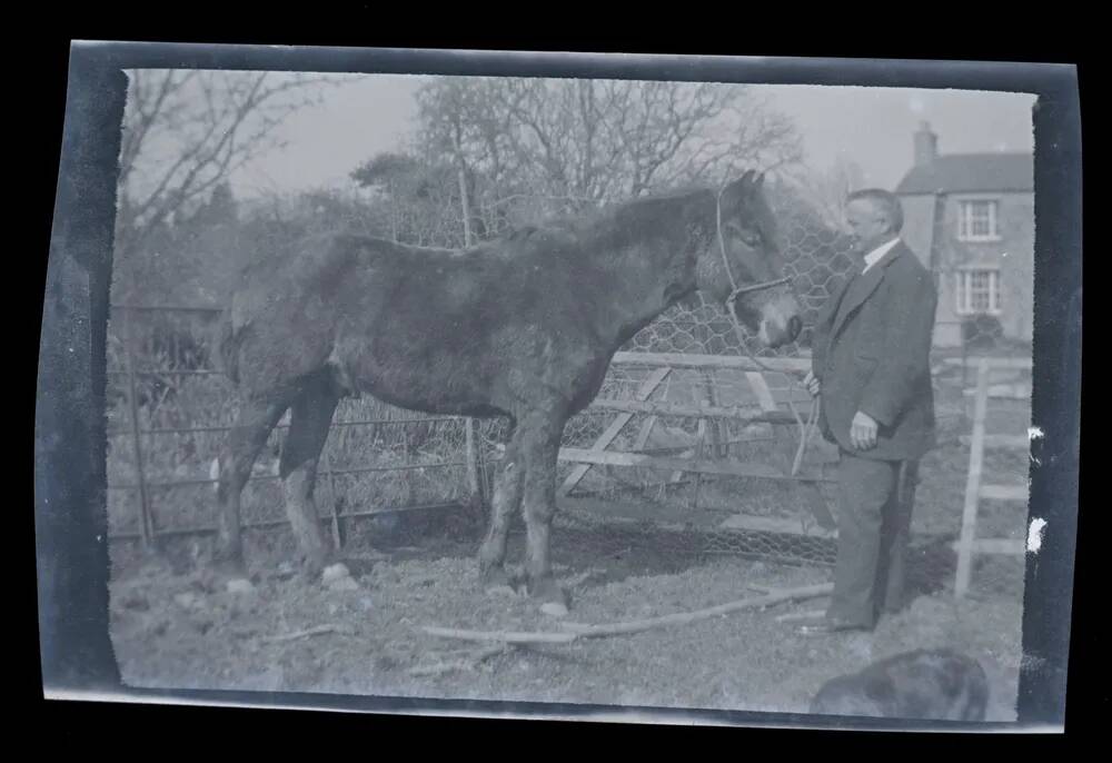 An image from the Dartmoor Trust Archive