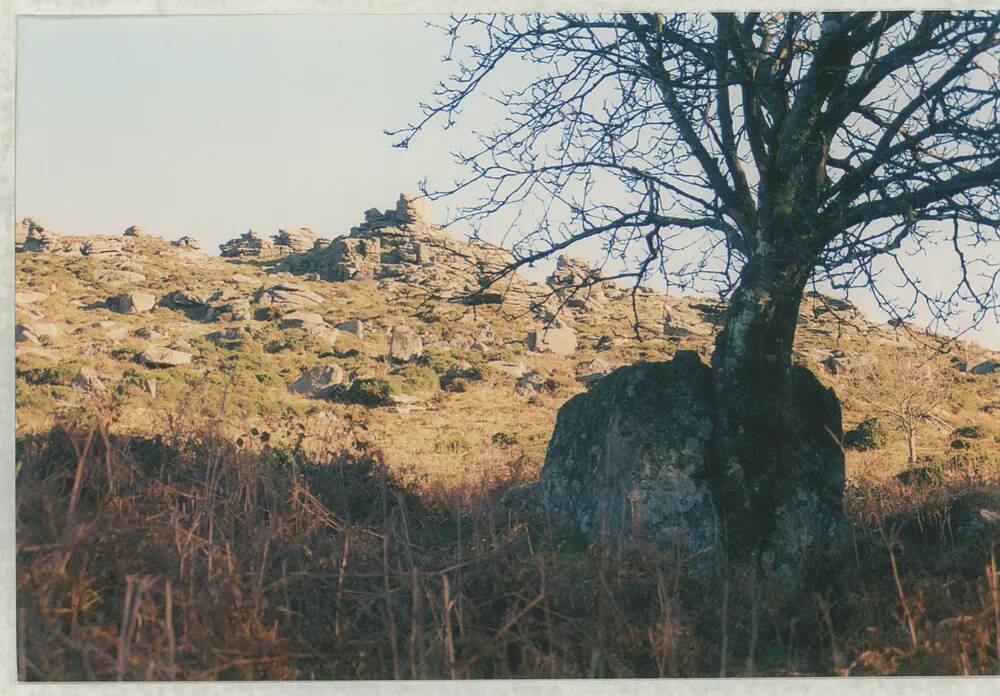 An image from the Dartmoor Trust Archive