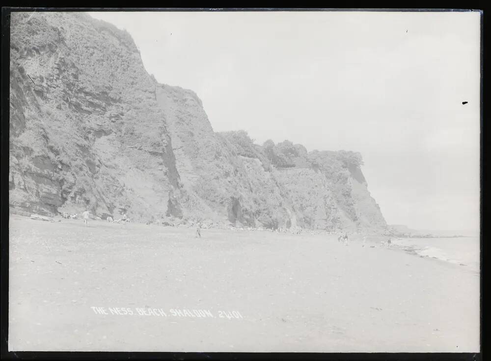 Shaldon: The Ness beach, St Nicholas