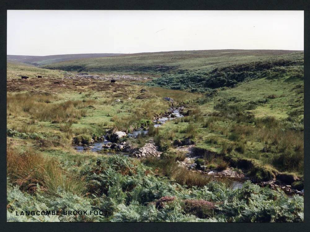 An image from the Dartmoor Trust Archive