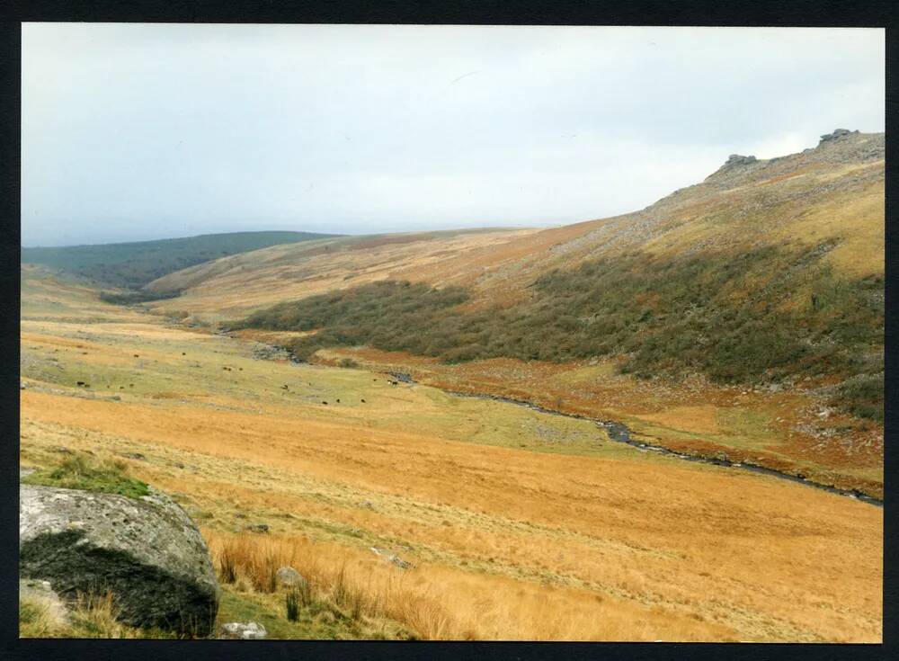 An image from the Dartmoor Trust Archive